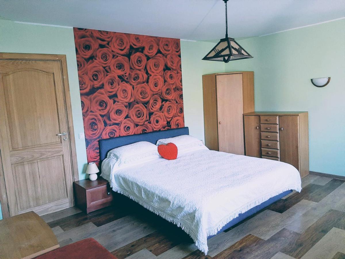 Irene Apartments Ντρουσκινινκάι Εξωτερικό φωτογραφία