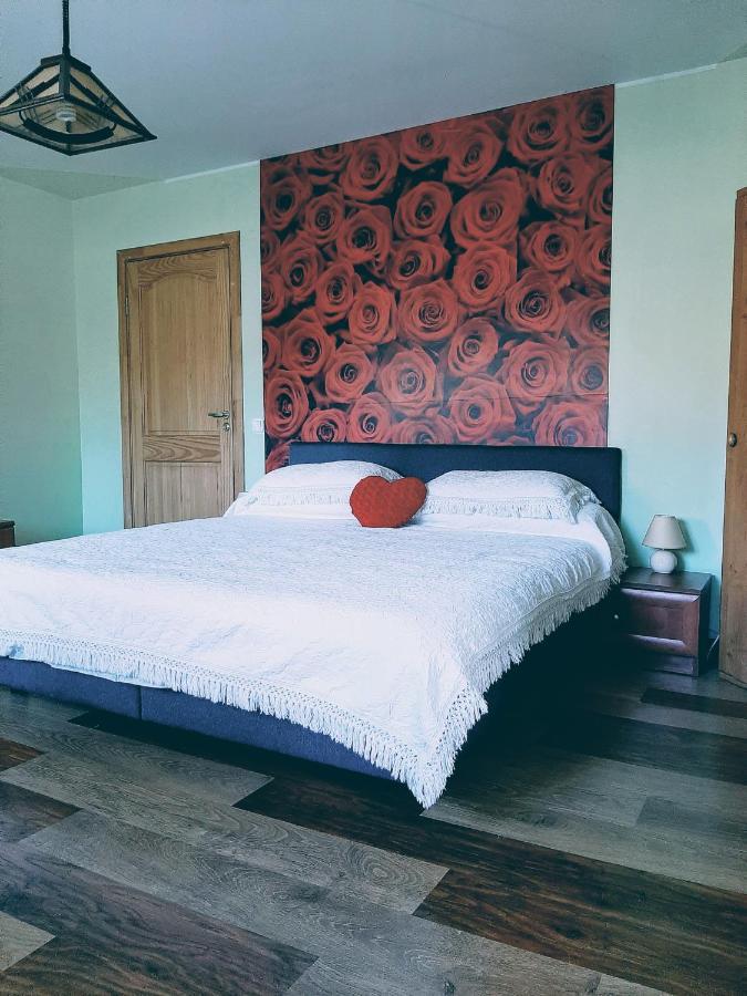 Irene Apartments Ντρουσκινινκάι Εξωτερικό φωτογραφία